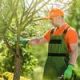 Summer Garden Maintenance. Caucasian Gardener with Small Branch Trimmer Checking on Trees.